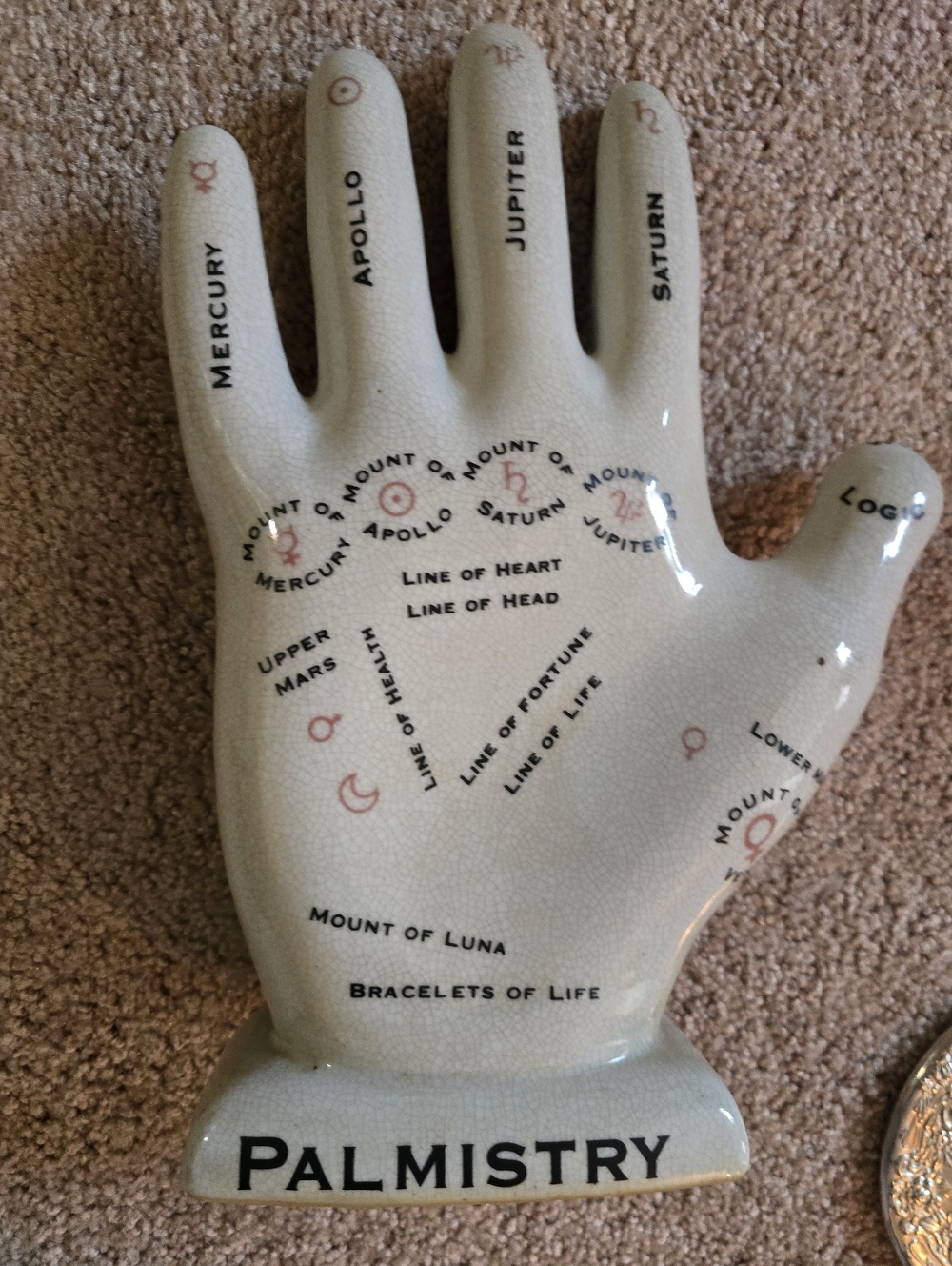 Porcelain Palmistry Hand